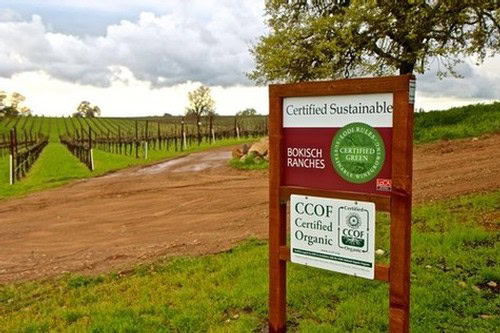 Vineyard entrance with certified sustainable, organic, and green certifications in Lodi, California.