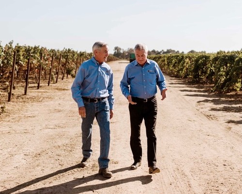 Two men walking through a vineyard in Lodi, California, discussing grape growing and wine production.