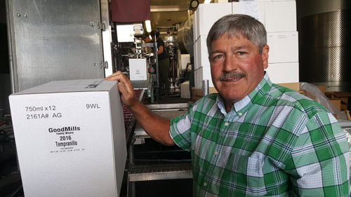 Man in green plaid shirt working in wine production facility, inspecting wine bottles.