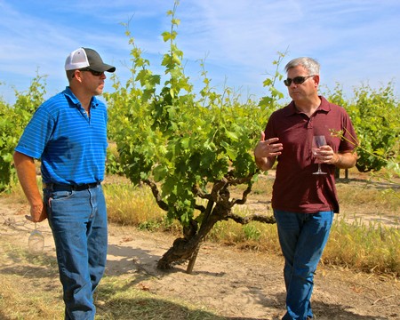 Two men in sunglasses and casual clothing discuss wine grapes in a vineyard during daytime.