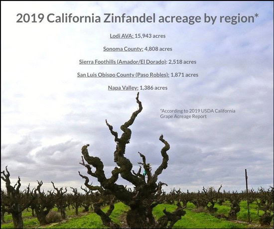 Map of California Zinfandel vineyard acreage by region in 2019 with Sierra Foothills and Napa Valley highlighted.