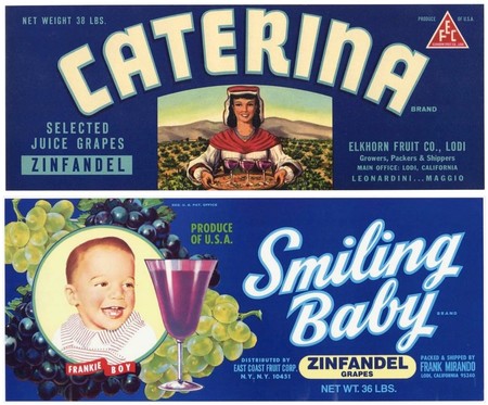 Vintage Lodi wine label featuring E. CATERINA and Zinfandel grapes for SEO.