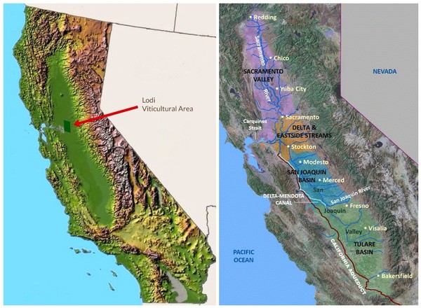 Map of Lodi winegrape region in California highlighting viticultural areas and key cities.