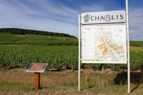 Vineyard sign for Chablis with a detailed map, surrounded by lush grapevines under a blue sky.