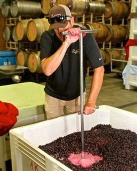 Person testing wine grapes with a refractometer at Lodi Winegrape Commission facility.