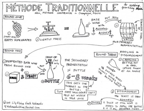 Diagram illustrating the traditional wine-making process from grape harvesting to fermentation and bottling.