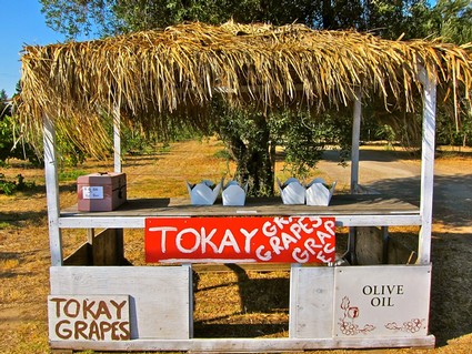 Market stand selling Tokay grapes and olive oil with a thatched roof and trees in the background.