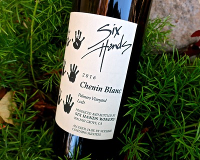 Close-up of Six Hands Chenin Blanc wine bottle label with vineyard background.