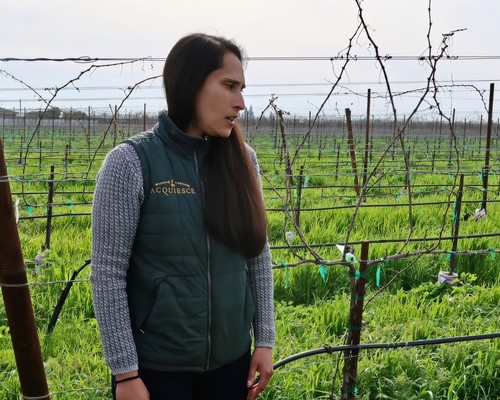 Woman inspecting grapevines in a lush vineyard during daytime, representing Lodi Winegrape Commission activities.