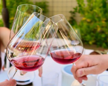 People clinking glasses of red wine outdoors, celebrating with wine tasting event in Lodi, California.
