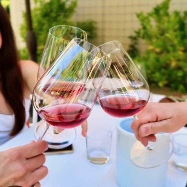 People clinking glasses of red wine outdoors, celebrating and enjoying wine tasting experience.
