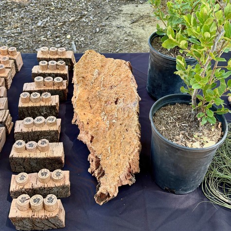 Soil and plant samples from Lodi Winegrape Commission for vineyard research and soil health analysis.
