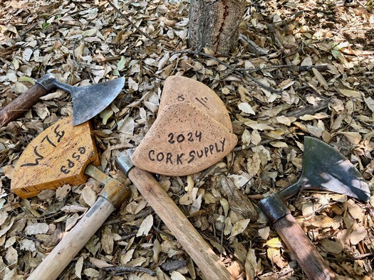 Vineyard tools including shovels and a rock with 2024 CORK SUPPLY written on it, on a leaf-covered ground.