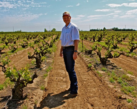 Man standing in a vineyard with rows of grapevines under a blue sky, representing Lodi Winegrape Commission.