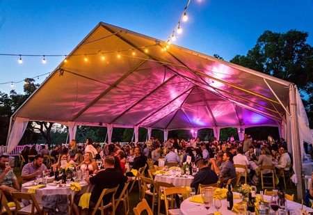 Outdoor event tent with string lights and purple lighting, hosting a large gathering of people for a celebration or festival.