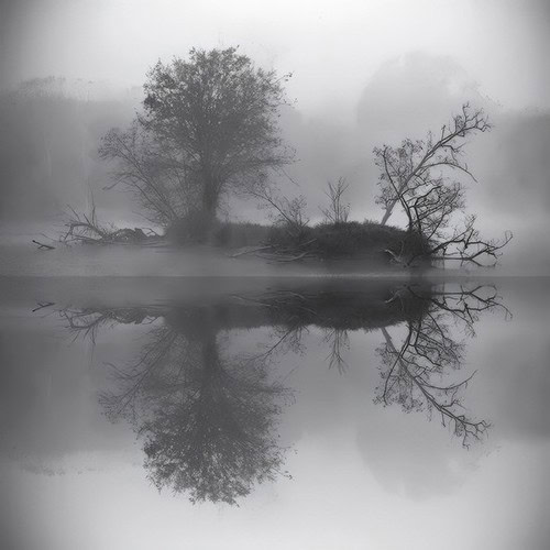 Serene foggy landscape with trees reflected in calm water, representing Lodi's natural environment for winegrape growing.