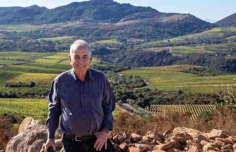 Man standing in vineyard with rolling hills and mountains in Lodi, California.