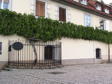 Historic building with lush green vines and cobblestone street in Lodi, California.