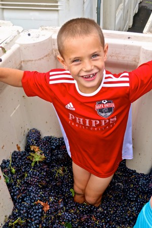 Happy boy in a red soccer jersey standing in a blackberry harvest bin, smiling at the camera.