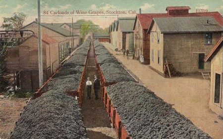 Vintage photo of wine grape carloads in Stockton, California, showcasing early Lodi wine industry.