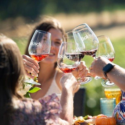 Group of people clinking glasses of red wine outdoors, celebrating at a wine event in Lodi, California.