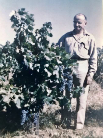Black and white photo of a man standing next to a grapevine in a vineyard.