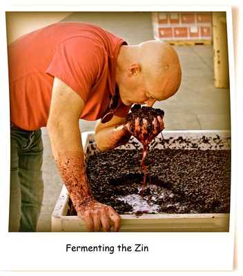 Winemaker tasting and fermenting Zinfandel grapes in a winery setting for Lodi Winegrape Commission.