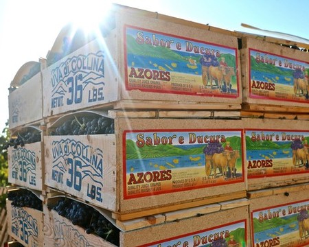 Stack of wooden crates with Azores wine labels and grapes for Lodi wine production.
