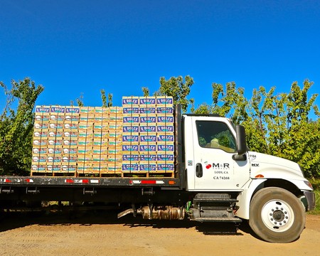 Delivery truck loaded with winegrape boxes at Lodi Winegrape Commission vineyard.