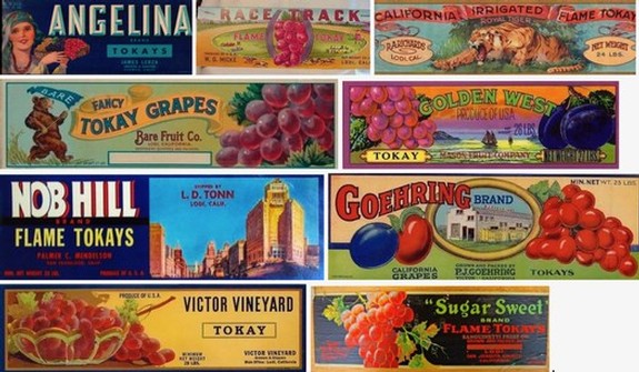 Collection of vintage wine and grape labels from Lodi, California, showcasing colorful designs and branding for wine products.