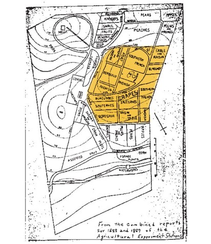 Map of Lodi Winegrape Commission vineyards showing different grape varieties and vineyard blocks.