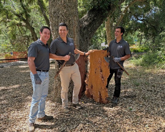 Three men planting a tree for Lodi Winegrape Commission in a vineyard.