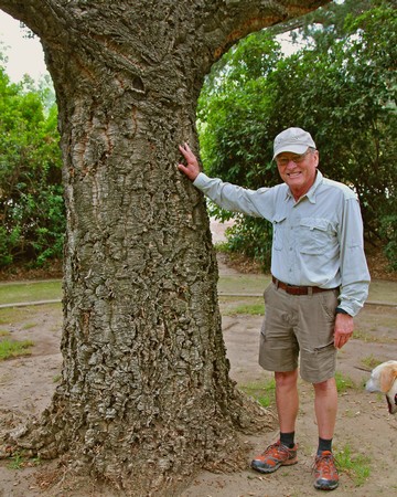 Man in outdoor setting inspecting a large tree with a smile, wearing a cap, glasses, and casual outdoor clothing.