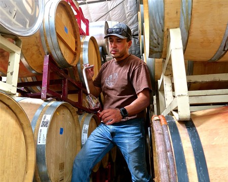 Winemaker inspecting wine barrels at Lodi Winegrape Commission facility for quality and aging.