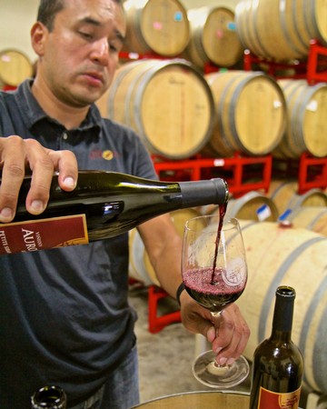 Man pouring red wine into a glass at a wine cellar with barrels in the background.