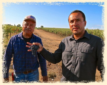 Two men in a vineyard, one holding a cluster of grapes, during a sunny day in Lodi, California.