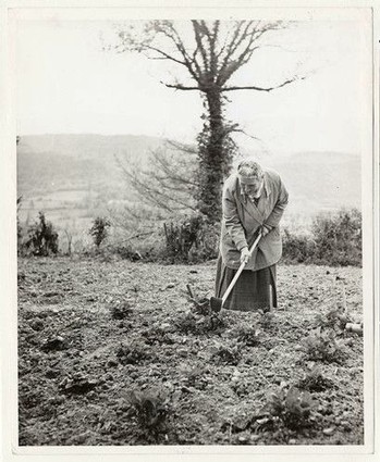 Black and white photo of a vineyard worker planting or tending grapevines in Lodi, California.