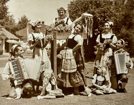 Group of children in traditional European folk costumes performing a dance outdoors.