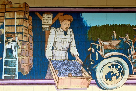 Colorful mural depicting a woman harvesting grapes for Lodi Winegrape Commission in California.