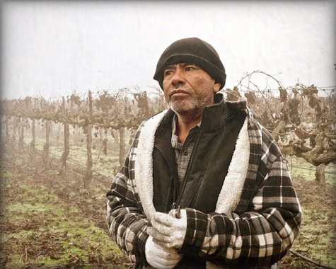 Lodi winegrower standing in vineyard during winter, wearing warm clothing and gloves, with grapevines in the background.