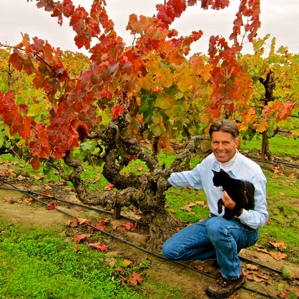 Man holding a black dog in a vineyard with colorful autumn leaves on grapevines.