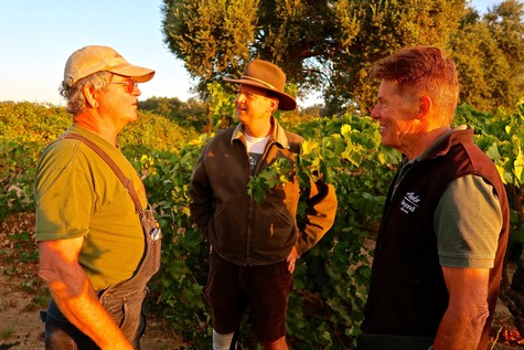 Three people in vineyard discussing grape growing and wine production in Lodi, California.