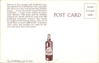 Vintage postcard featuring a bottle of Guild wine from Lodi, California, with a brief history of the region's wine industry.