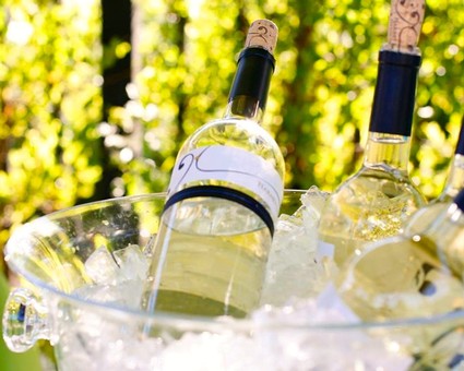 Wine bottles chilling in ice, representing Lodi Winegrape Commission's premium wines.