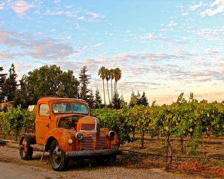 Rusty vintage truck parked in a lush vineyard in Lodi, California, with palm trees and a colorful sky in the background.
