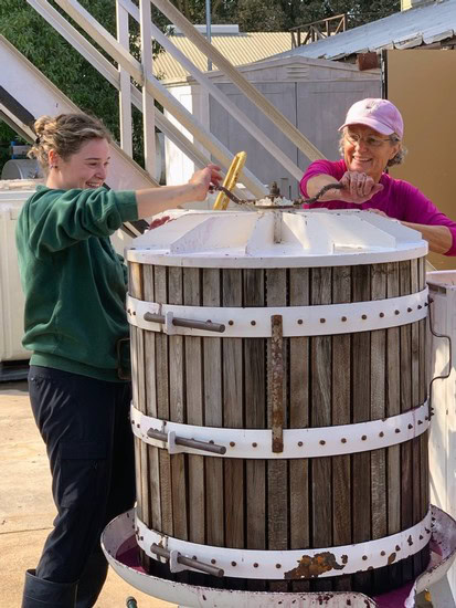 Two women harvesting grapes in a large wooden wine press at Lodi Winegrape Commission event.