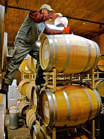 Winemaker inspecting wine barrels in a winery, emphasizing Lodi wine production and craftsmanship.