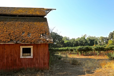 Rustic red barn with vineyard and grapevines in Lodi, California, under a clear blue sky.
