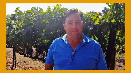 Man in blue polo shirt standing in a lush vineyard with grapevines behind him.