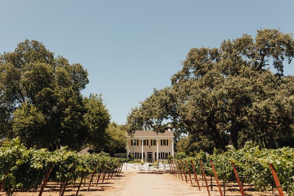 Vineyard with lush grapevines and a large house in the background, under a clear blue sky.